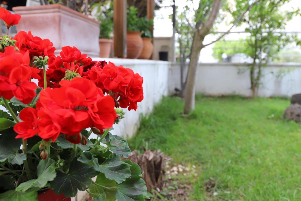 Belle Maison Βίλα Καβάλα Εξωτερικό φωτογραφία